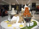 Fountain Food by Rent a cook Catering in Salzburg